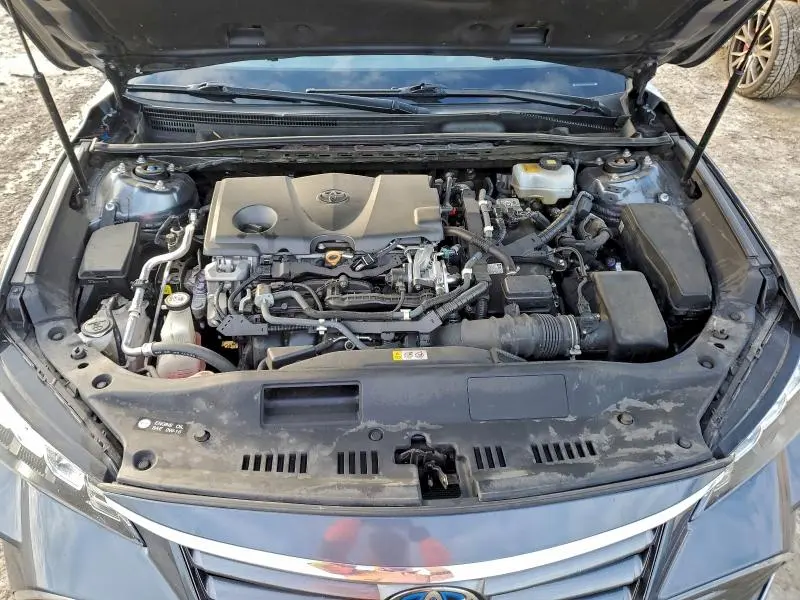 2019 TOYOTA AVALON XLE  