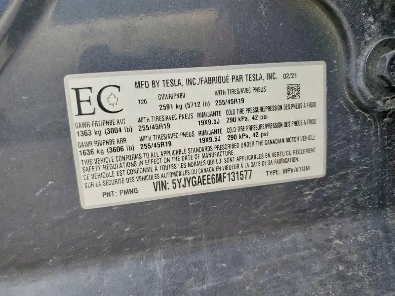 2021 TESLA MODEL Y   