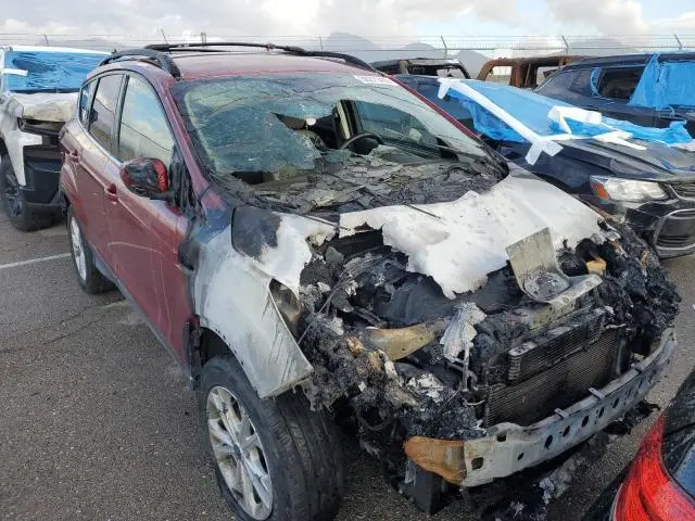2019 FORD ESCAPE SEL  