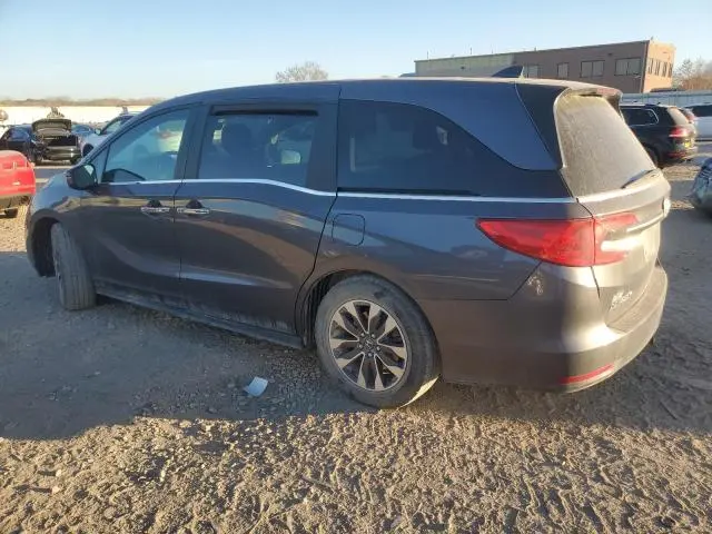 2022 HONDA ODYSSEY EXL  
