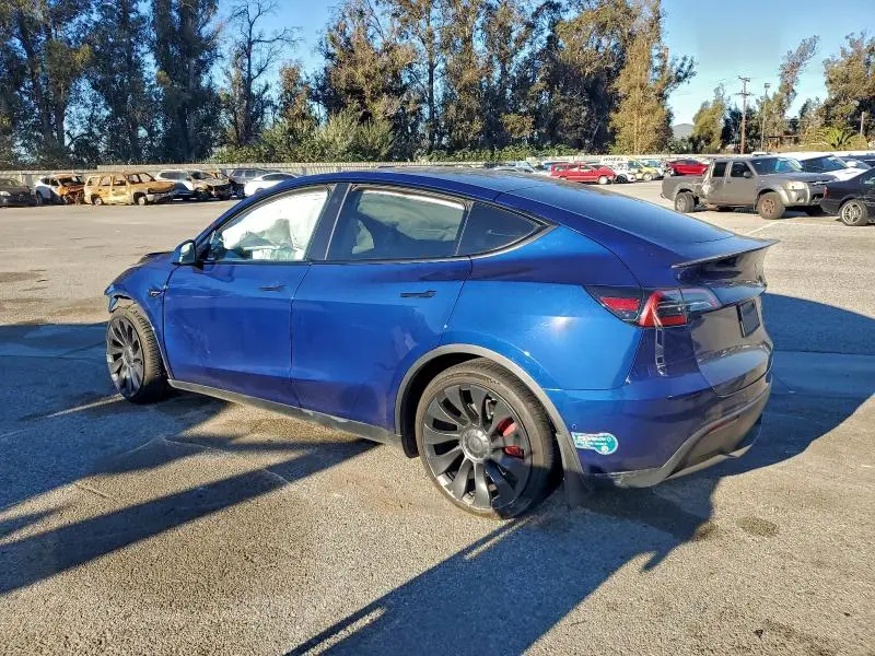 2022 TESLA MODEL Y   