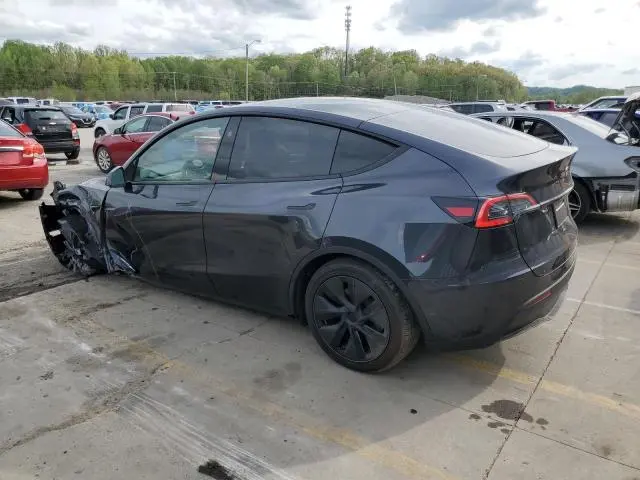 2025 TESLA MODEL Y   