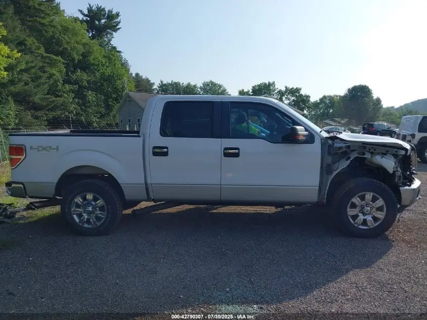 2011 FORD F-150 XLT