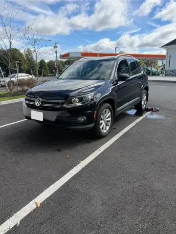 2017 VOLKSWAGEN TIGUAN WOLFSBURG  