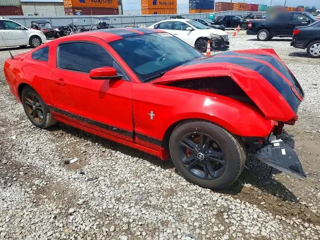 2014 FORD MUSTANG   