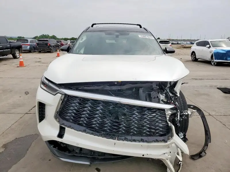 2024 INFINITI QX60 AUTOGRAPH  