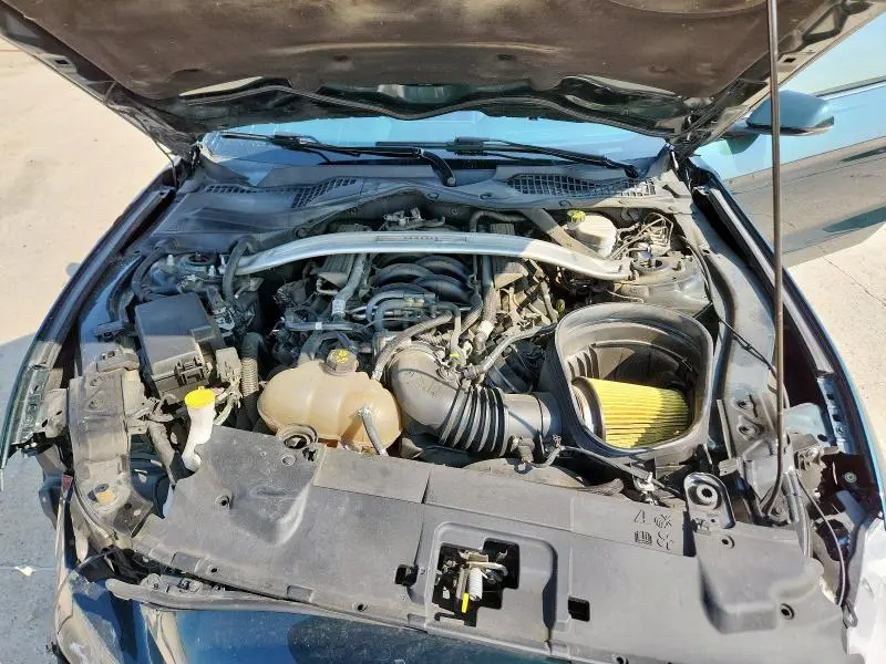 2019 FORD MUSTANG BULLITT