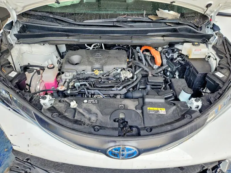2024 TOYOTA SIENNA LE  