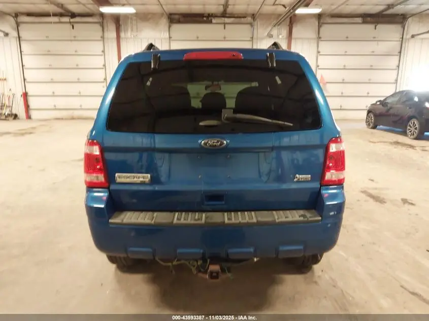 2011 FORD ESCAPE XLT