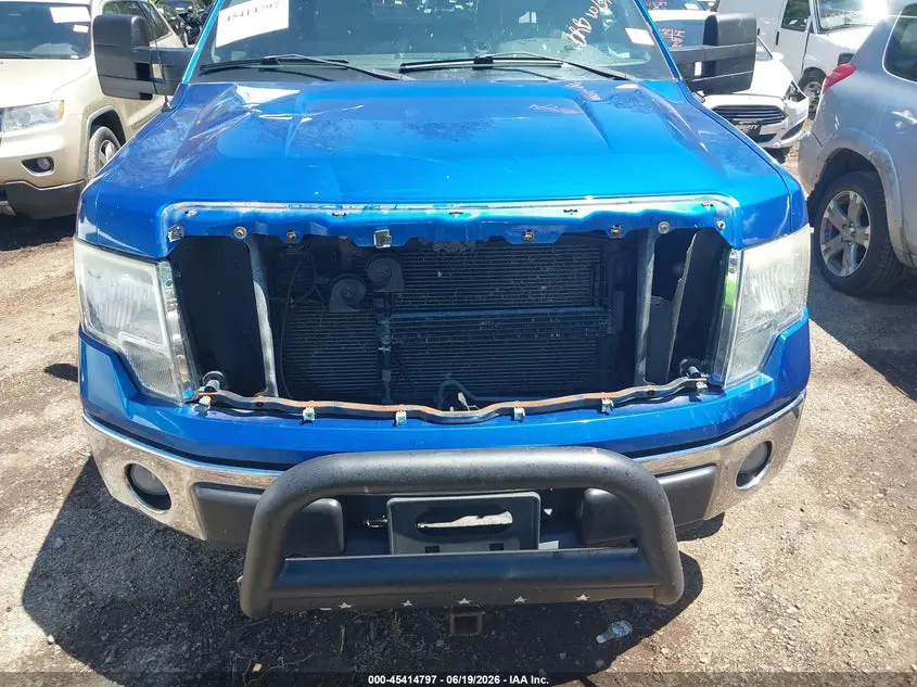 2010 FORD F-150 XL/XLT