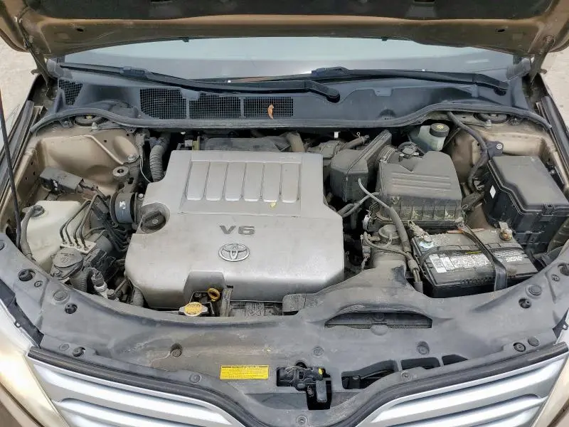 2010 TOYOTA VENZA   