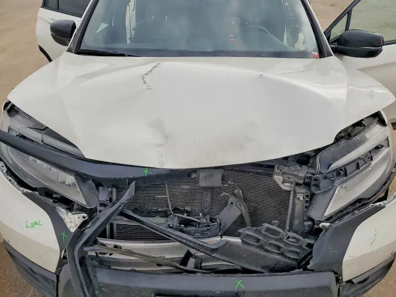 2019 HONDA PASSPORT ELITE  