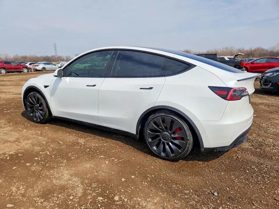 2022 TESLA MODEL Y   