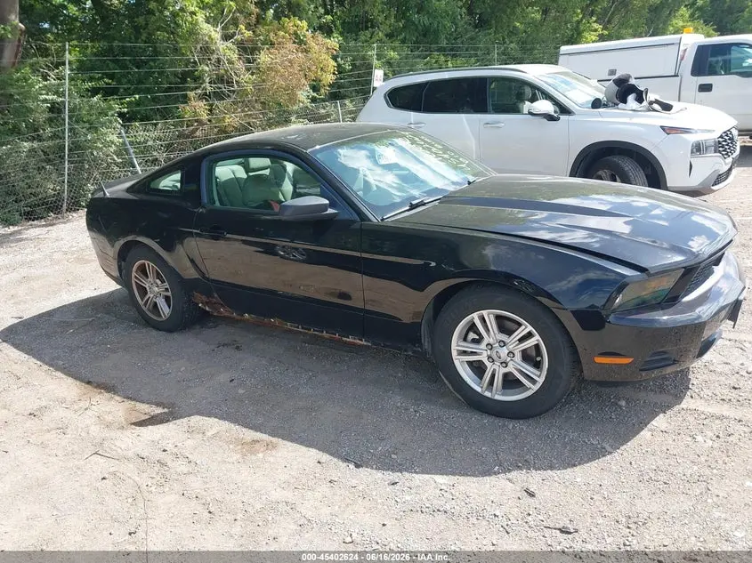 2011 FORD MUSTANG V6/V6 PREMIUM