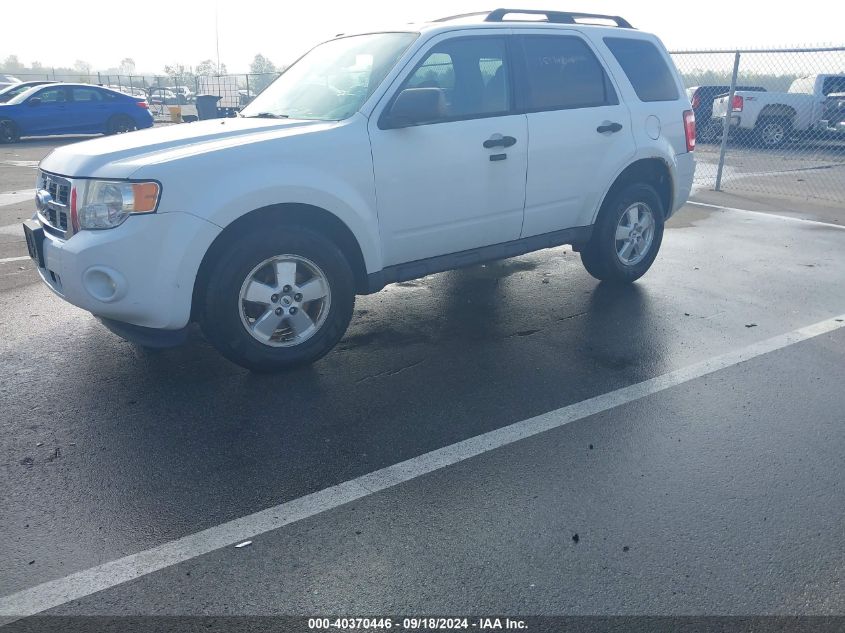 2012 FORD ESCAPE XLT