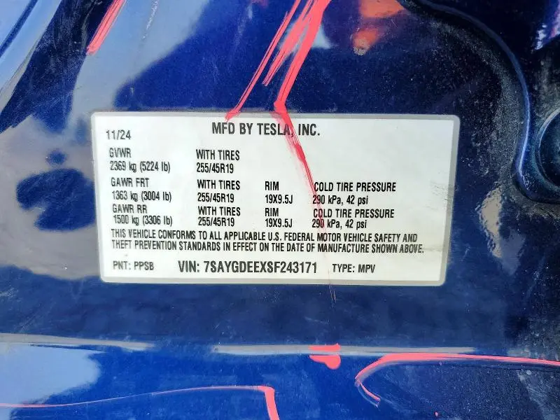 2025 TESLA MODEL Y   