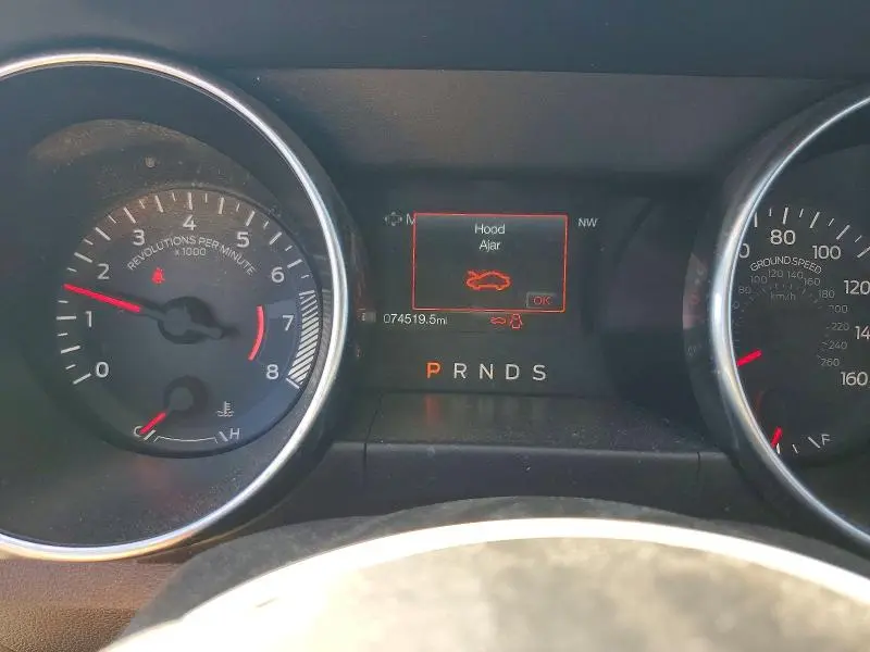 2019 FORD MUSTANG   