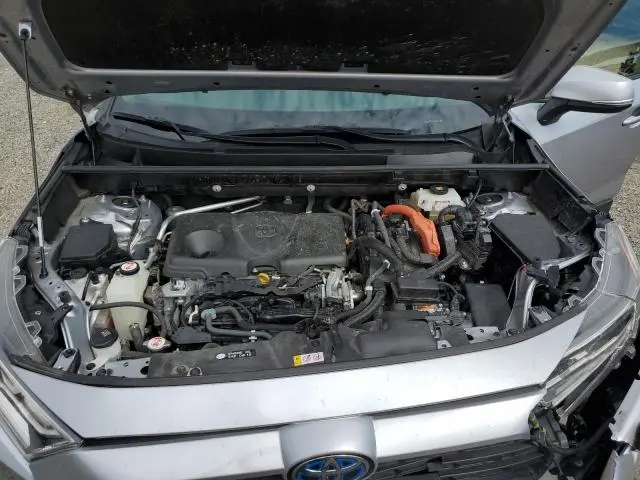 2019 TOYOTA RAV4 XLE  