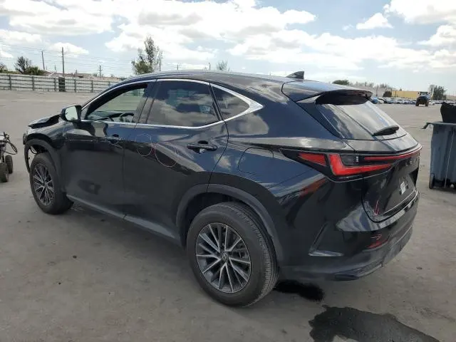2023 LEXUS NX 350  