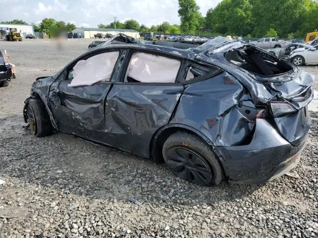 2024 TESLA MODEL Y   