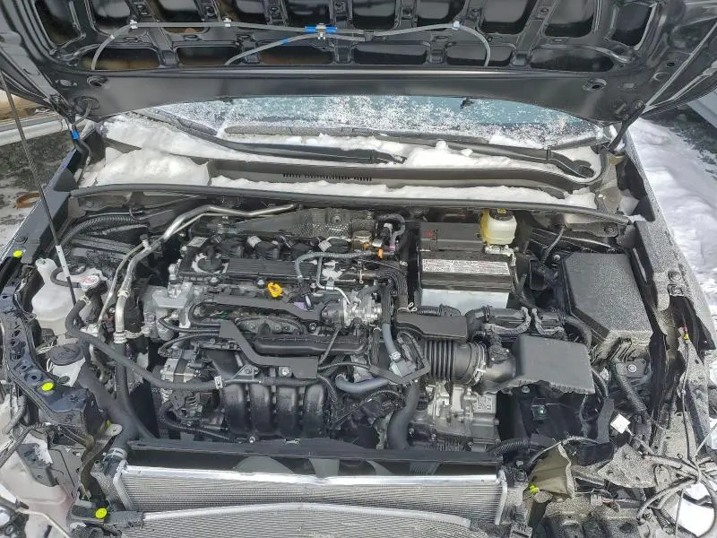 2025 TOYOTA COROLLA N  