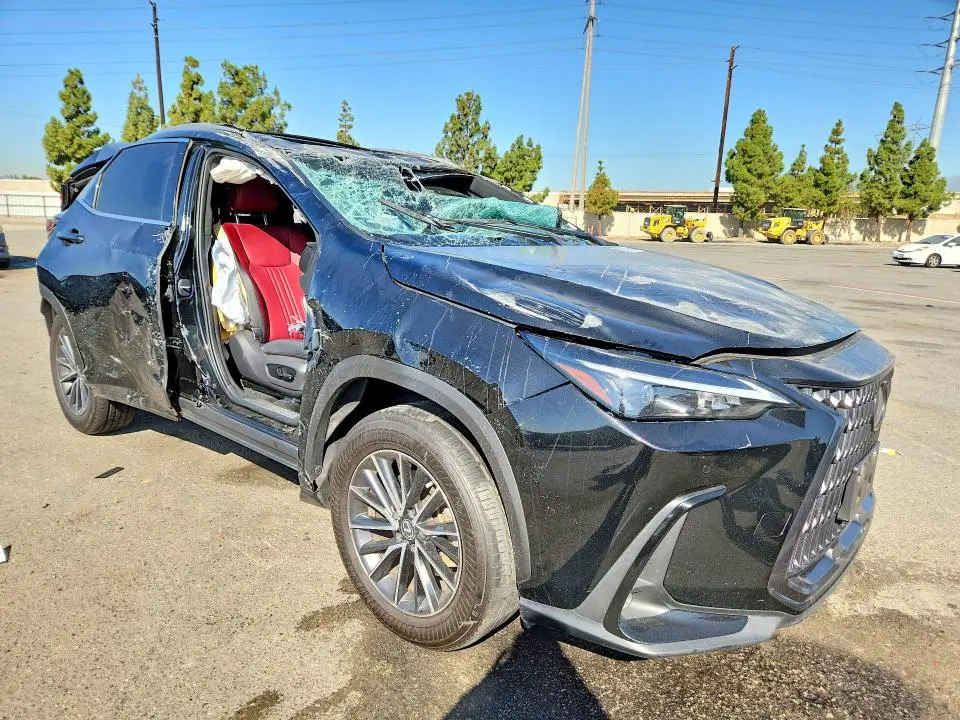 2025 LEXUS NX 250 PREMIUM  