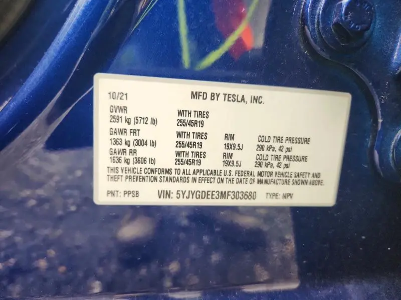 2021 TESLA MODEL Y   