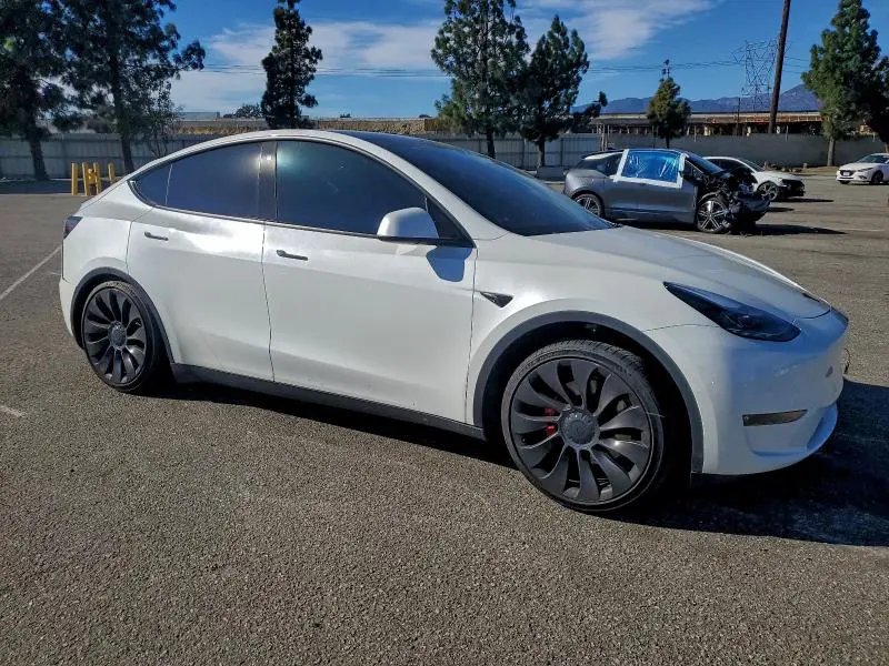 2022 TESLA MODEL Y   
