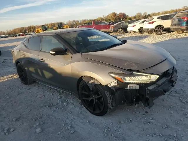 2019 NISSAN MAXIMA S  