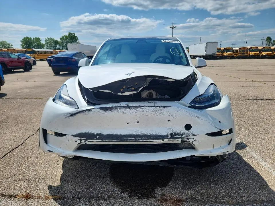 2020 TESLA MODEL Y   