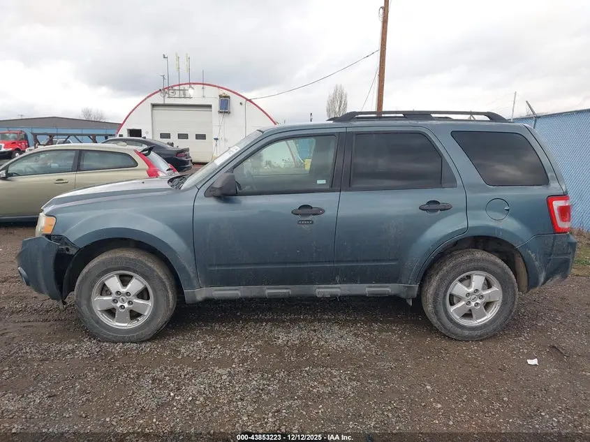 2010 FORD ESCAPE XLT