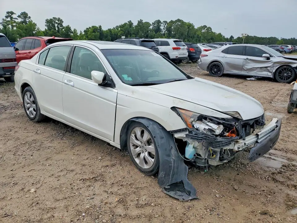 2010 HONDA ACCORD EXL  