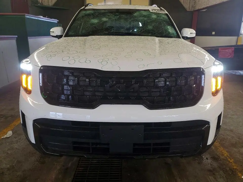 2025 KIA TELLURIDE EX X-LINE  