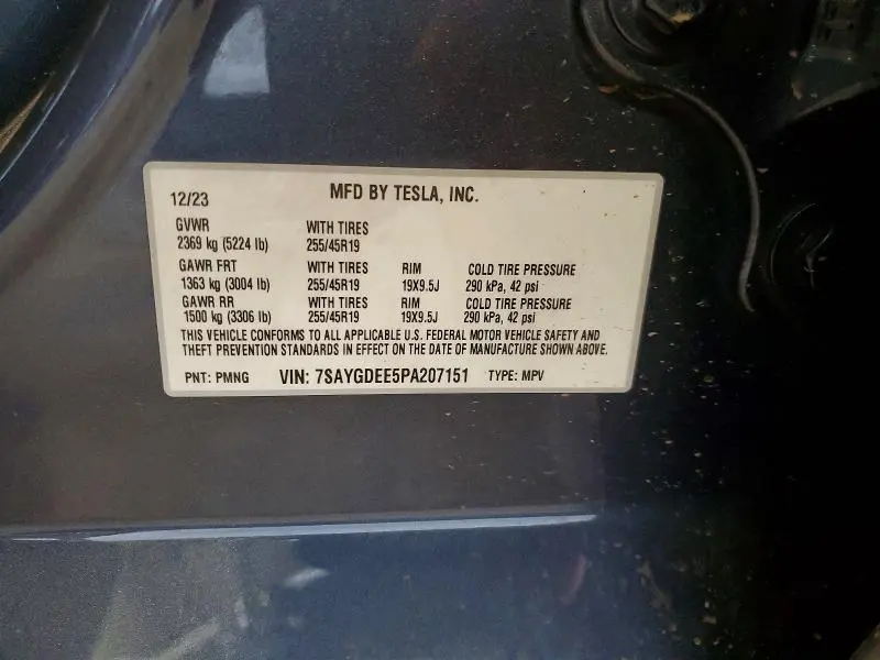 2023 TESLA MODEL Y   