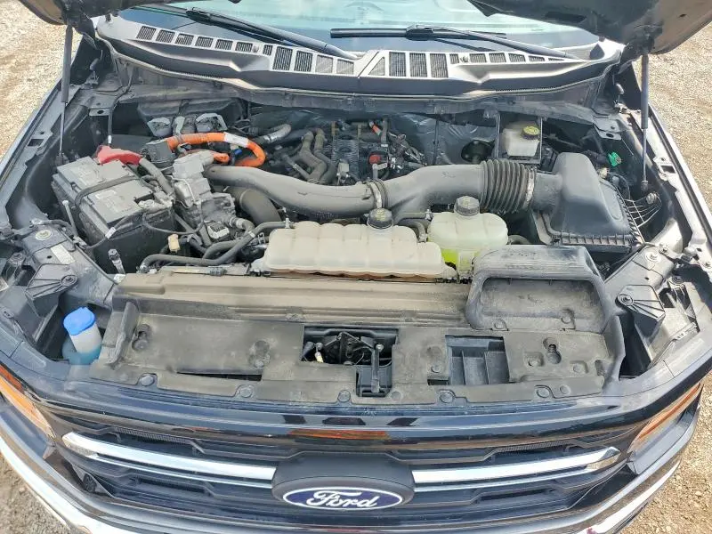 2024 FORD F150 XLT  