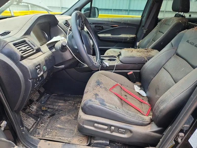2025 HONDA PASSPORT BLACK EDITION  