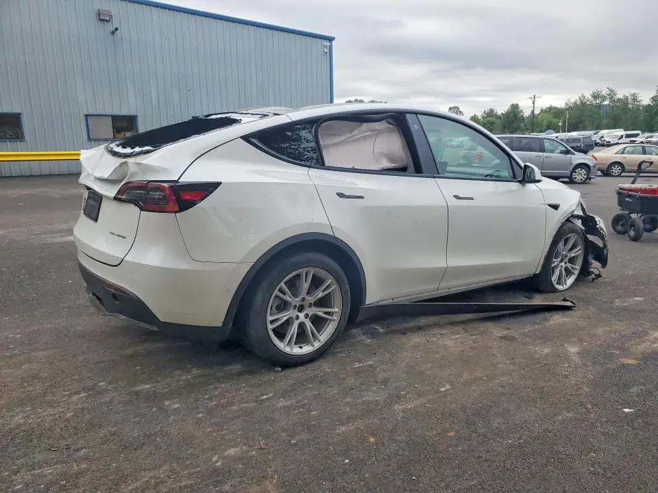 2021 TESLA MODEL Y   