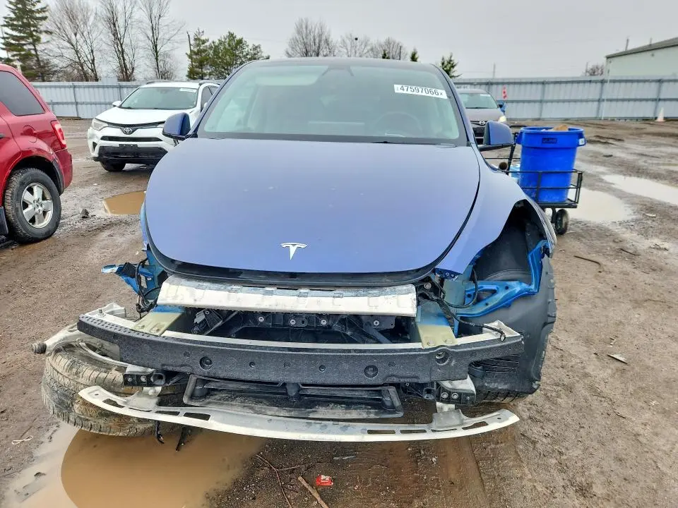 2022 TESLA MODEL Y   