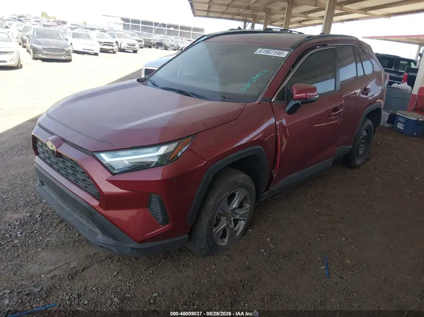 2024 TOYOTA RAV4 XLE