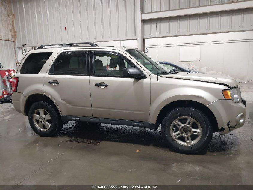 2010 FORD ESCAPE XLT