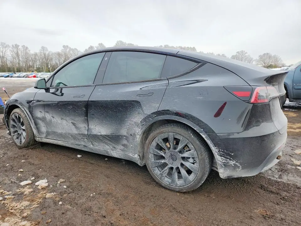 2021 TESLA MODEL Y   