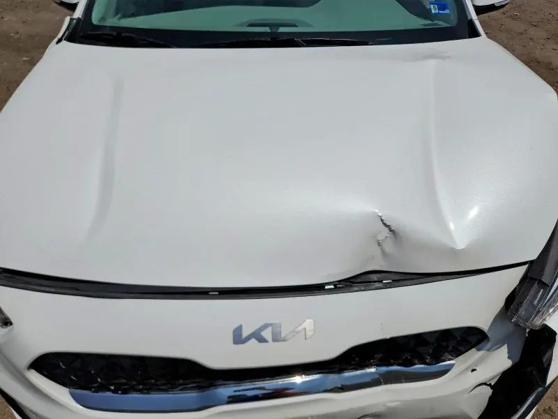 2022 KIA NIRO EX PREMIUM  