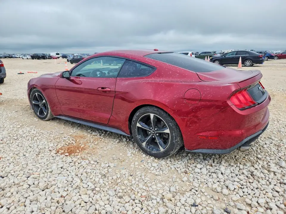 2019 FORD MUSTANG   