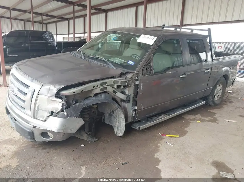 2010 FORD F-150 XLT