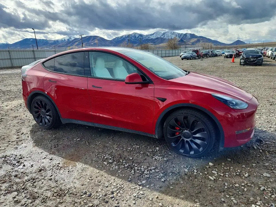 2023 TESLA MODEL Y   