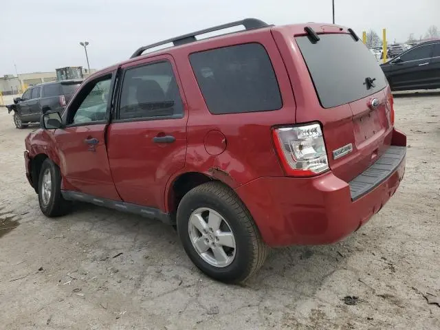 2010 FORD ESCAPE XLT