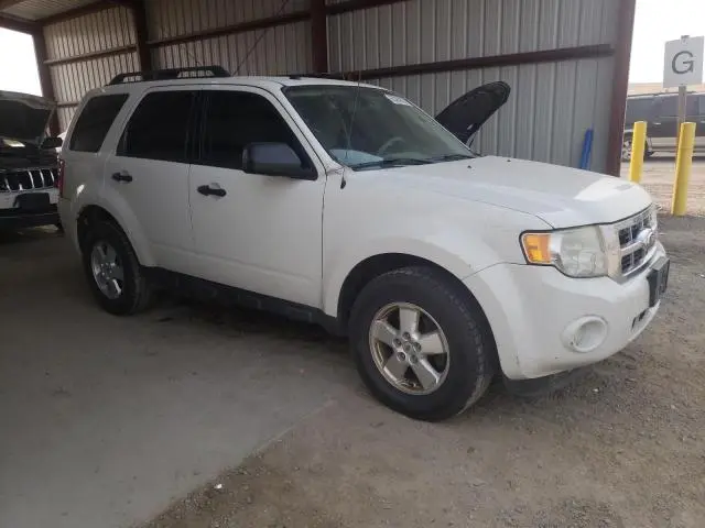 2011 FORD ESCAPE XLT  