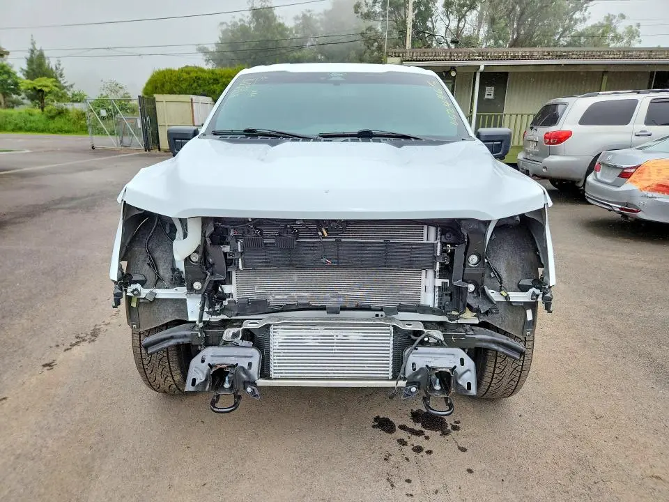 2025 FORD F150 XLT  