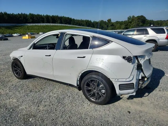 2025 TESLA MODEL Y   