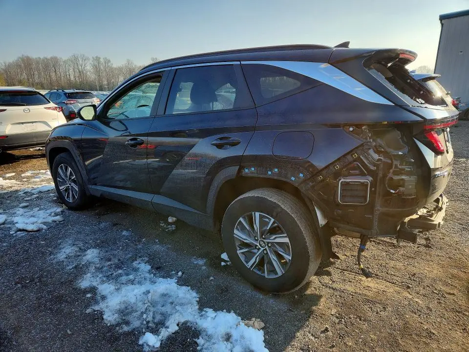 2024 HYUNDAI TUCSON BLUE  